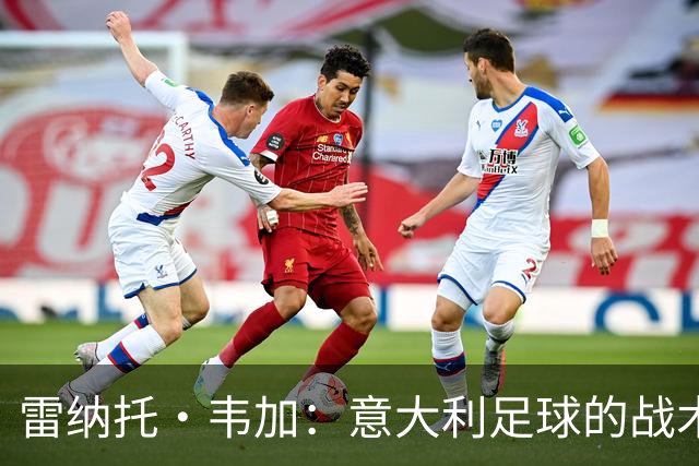 雷纳托·韦加：意大利足球的战术风格有时会影响比赛